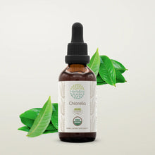 Load image into Gallery viewer, Chlorella Tincture herbera Chlorella Tincture herbera Herbal Extract