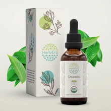 Load image into Gallery viewer, Chlorella Tincture herbera Chlorella Tincture herbera Herbal Extract