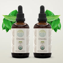 Load image into Gallery viewer, Chlorella Tincture herbera Chlorella Tincture herbera Herbal Extract