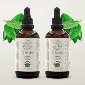 Chlorella Tincture herbera Chlorella Tincture herbera Herbal Extract