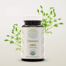 Load image into Gallery viewer, Cleavers Capsules herbera Cleavers Capsules herbera Capsules