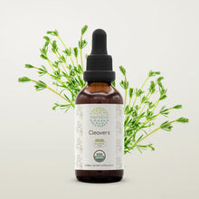 Load image into Gallery viewer, Buy Cleavers Tincture online - HerbEra