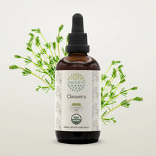 Load image into Gallery viewer, Buy Cleavers Tincture online - HerbEra