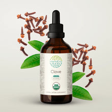 Load image into Gallery viewer, Clove Tincture herbera Clove Tincture herbera Herbal Extract