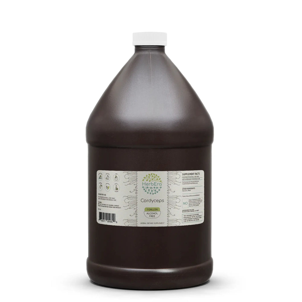 Cordyceps Gallon HerbEra Cordyceps Gallon HerbEra Herbal Extract