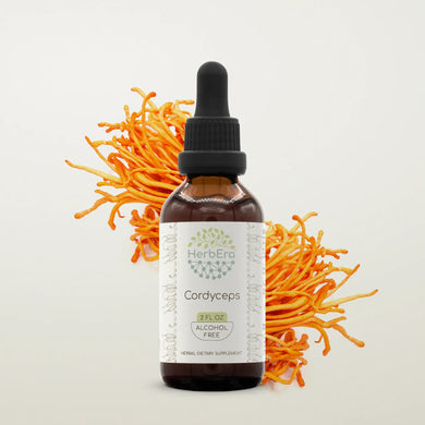 Cordyceps Tincture HerbEra Cordyceps Tincture HerbEra Herbal Extract