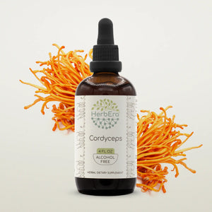 Cordyceps Tincture HerbEra Cordyceps Tincture HerbEra Herbal Extract