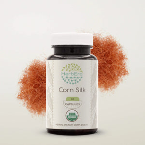 Corn Silk Capsules herbera Corn Silk Capsules herbera Capsules