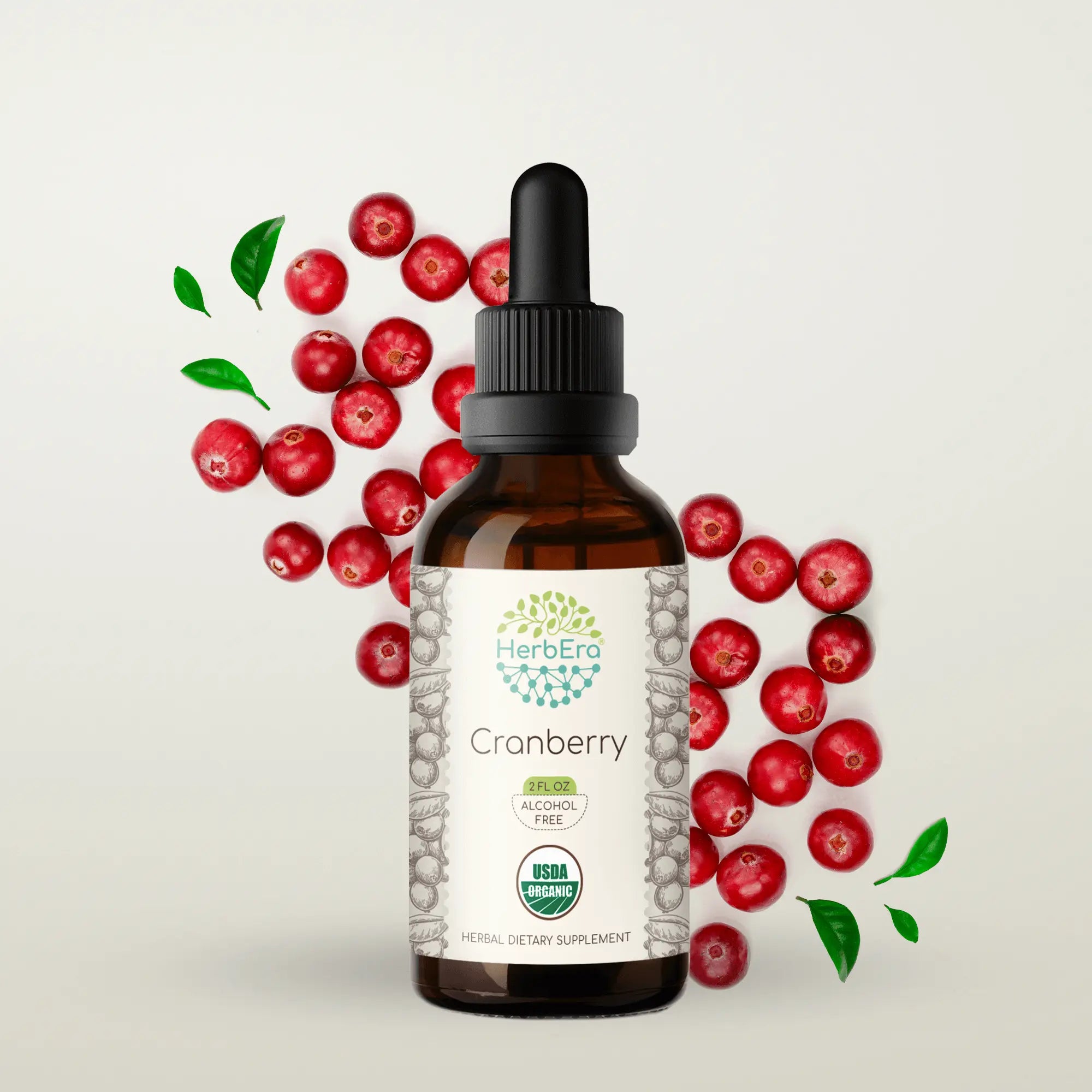 Cranberry Tincture - Supports Urinary Tract & Kidney Health – HerbEra