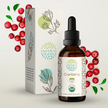 Load image into Gallery viewer, Cranberry Tincture herbera Cranberry Tincture herbera Herbal Extract