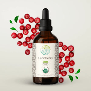 Cranberry Tincture herbera Cranberry Tincture herbera Herbal Extract