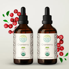 Load image into Gallery viewer, Cranberry Tincture herbera Cranberry Tincture herbera Herbal Extract