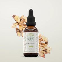 Load image into Gallery viewer, Buy Cryptolepis Tincture online - HerbEra