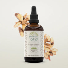 Load image into Gallery viewer, Buy Cryptolepis Tincture online - HerbEra