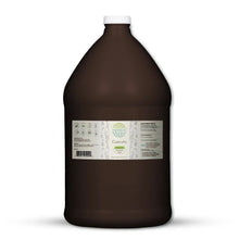 Load image into Gallery viewer, Buy Cuscuta Gallon online - HerbEra
