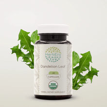 Load image into Gallery viewer, Dandelion Leaf Capsules herbera Dandelion Leaf Capsules herbera Capsules