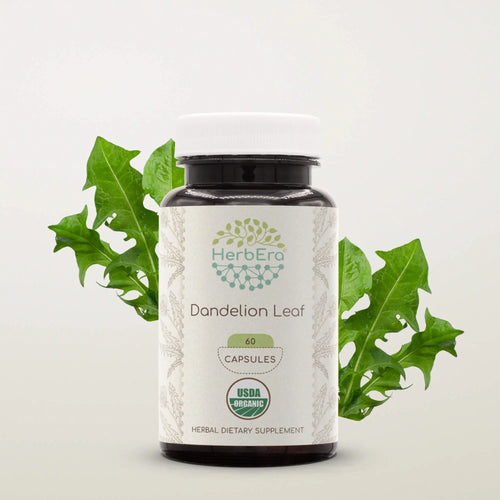 Dandelion Leaf Capsules herbera Dandelion Leaf Capsules herbera Capsules