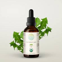 Load image into Gallery viewer, Dandelion Leaf Tincture herbera Dandelion Leaf Tincture herbera Herbal Extract