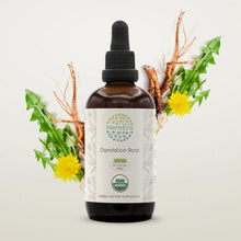 Load image into Gallery viewer, Dandelion Root Tincture HerbEra Dandelion Root Tincture HerbEra Herbal Extract