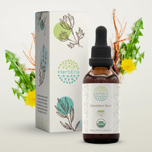 Load image into Gallery viewer, Dandelion Root Tincture herbera Dandelion Root Tincture herbera Herbal Extract