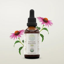 Load image into Gallery viewer, Echinacea Angustifolia Tincture