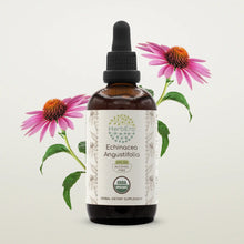 Load image into Gallery viewer, Echinacea Angustifolia Tincture