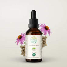 Load image into Gallery viewer, Echinacea Root Tincture herbera Echinacea Root Tincture herbera Herbal Extract