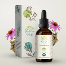 Load image into Gallery viewer, Echinacea Root Tincture herbera Echinacea Root Tincture herbera Herbal Extract