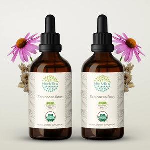 Echinacea Root Tincture herbera Echinacea Root Tincture herbera Herbal Extract