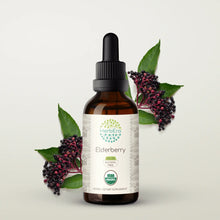 Load image into Gallery viewer, Elderberry Tincture herbera Elderberry Tincture herbera Herbal Extract