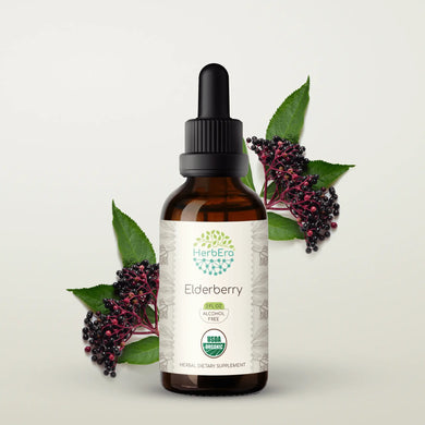 Elderberry Tincture herbera Elderberry Tincture herbera Herbal Extract