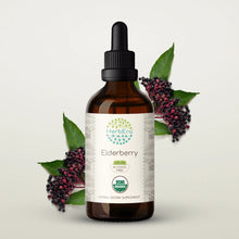 Load image into Gallery viewer, Elderberry Tincture herbera Elderberry Tincture herbera Herbal Extract