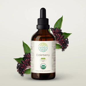 Elderberry Tincture herbera Elderberry Tincture herbera Herbal Extract