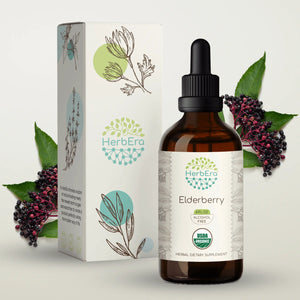 Elderberry Tincture herbera Elderberry Tincture herbera Herbal Extract