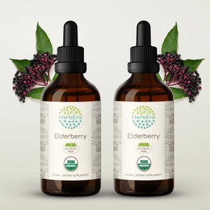 Elderberry Tincture herbera Elderberry Tincture herbera Herbal Extract