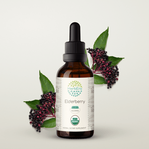Elderberry Tincture