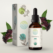 Load image into Gallery viewer, Elderberry Tincture