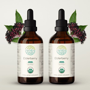 Elderberry Tincture