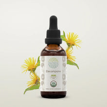 Load image into Gallery viewer, Buy Elecampane Tincture online - HerbEra