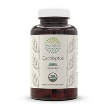 Load image into Gallery viewer, Eucalyptus Capsules herbera Eucalyptus Capsules herbera Capsules