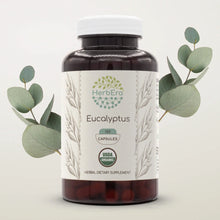 Load image into Gallery viewer, Eucalyptus Capsules herbera Eucalyptus Capsules herbera Capsules