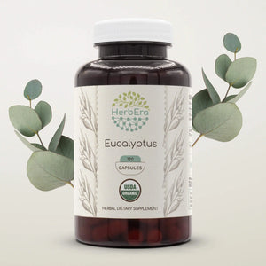 Eucalyptus Capsules herbera Eucalyptus Capsules herbera Capsules