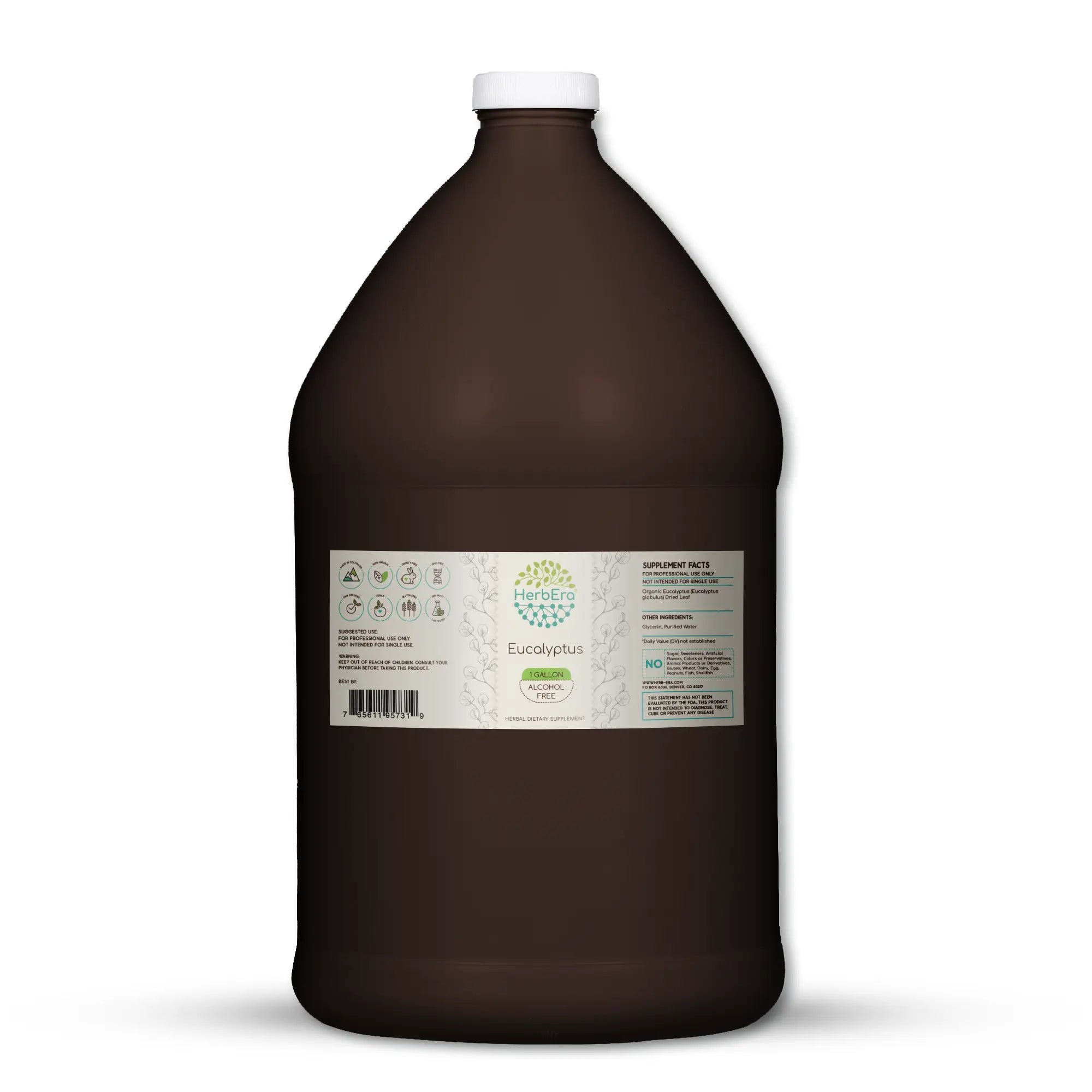 Eucalyptus Gallon