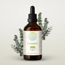 Load image into Gallery viewer, Buy Eucalyptus Tincture online - HerbEra