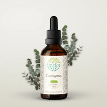 Load image into Gallery viewer, Buy Eucalyptus Tincture online - HerbEra