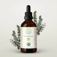 Load image into Gallery viewer, Eucalyptus Tincture herbera Eucalyptus Tincture herbera Herbal Extract