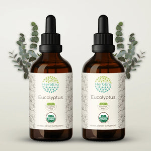 Eucalyptus Tincture herbera Eucalyptus Tincture herbera Herbal Extract