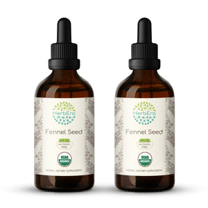 Fennel Seed Tincture herbera Fennel Seed Tincture herbera Herbal Extract