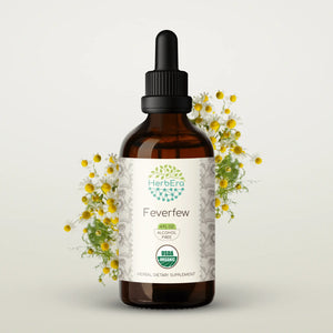 Feverfew Tincture herbera Feverfew Tincture herbera Herbal Extract