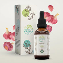 Load image into Gallery viewer, Garlic Tincture herbera Garlic Tincture herbera Herbal Extract